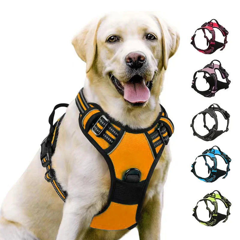 Harnais Réfléchissant Premium pour Chien