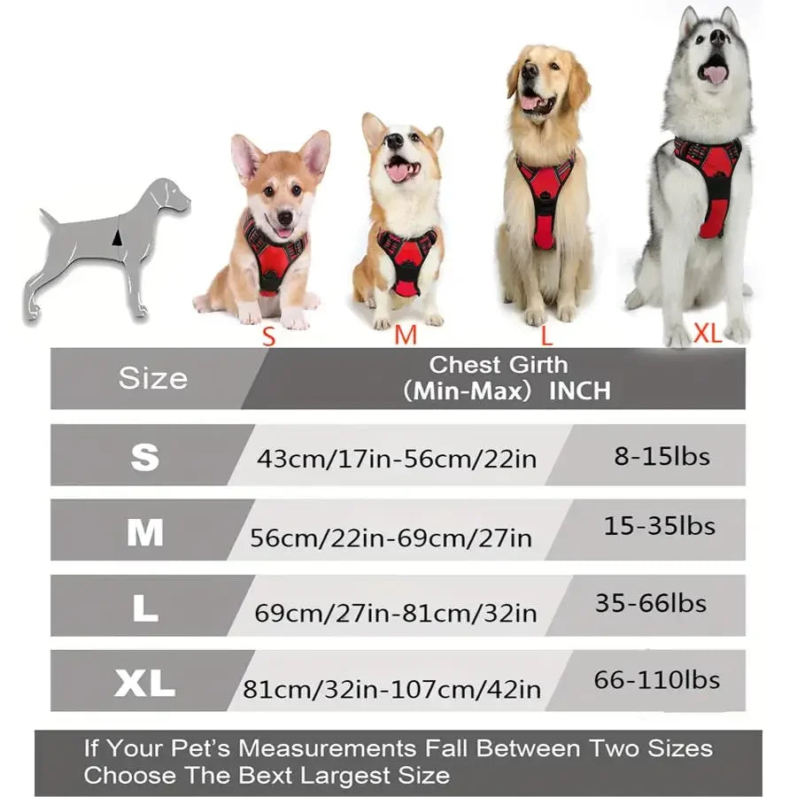 Harnais Réfléchissant Premium pour Chien