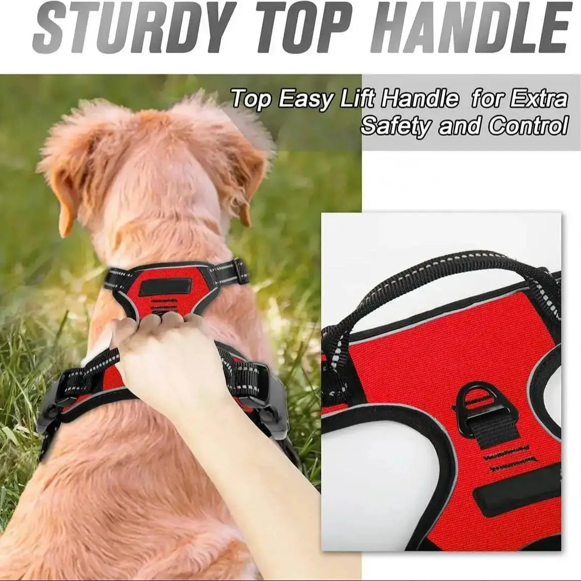Harnais Réfléchissant Premium pour Chien