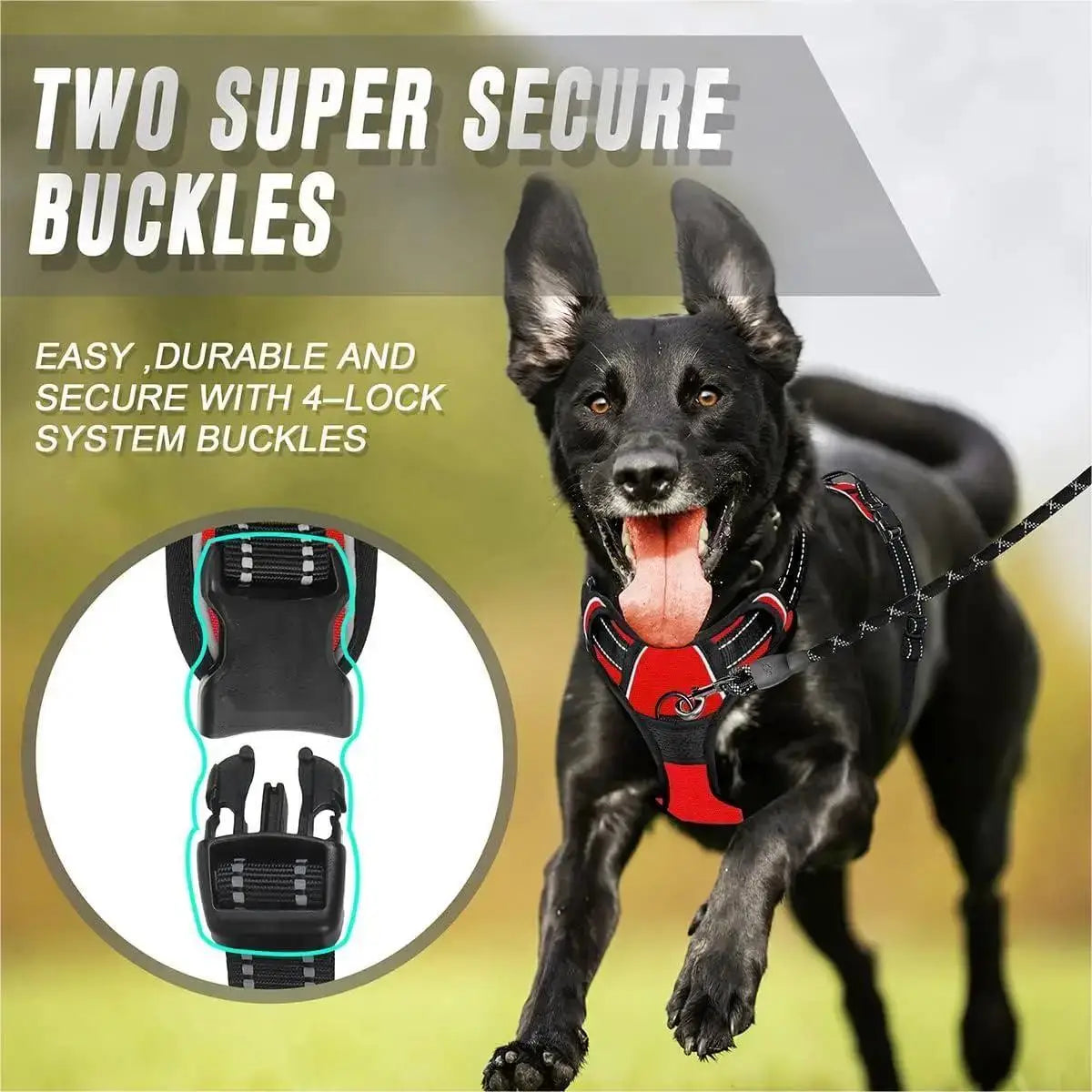 Harnais Réfléchissant Premium pour Chien