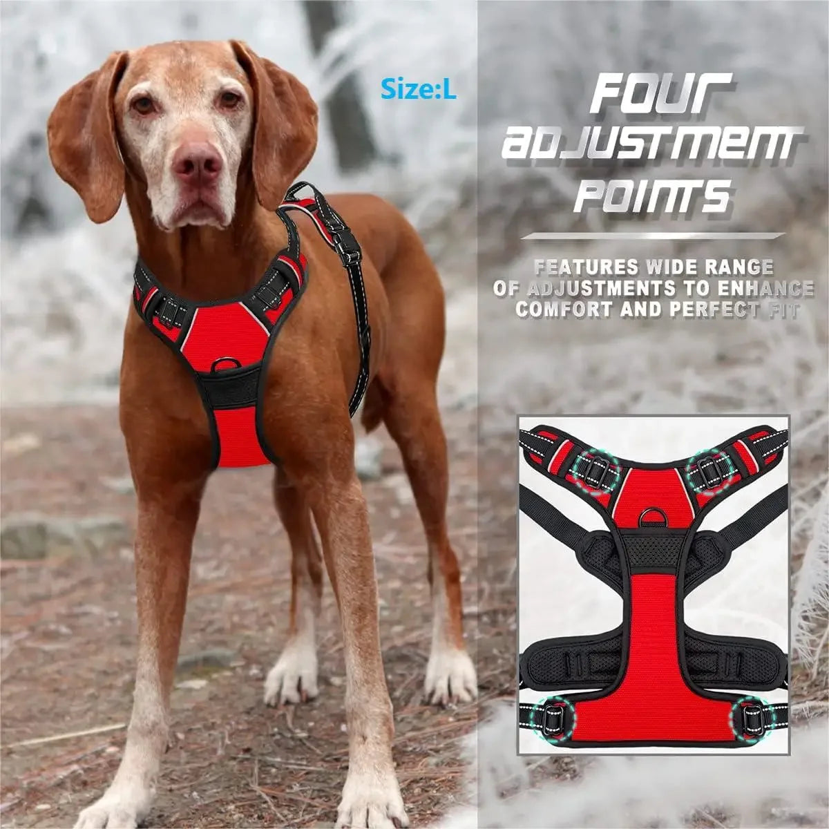 Harnais Réfléchissant Premium pour Chien