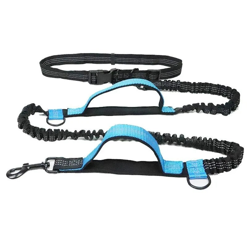 Laisse mains libres pour chien – Ceinture de course élastique et absorbant les chocs