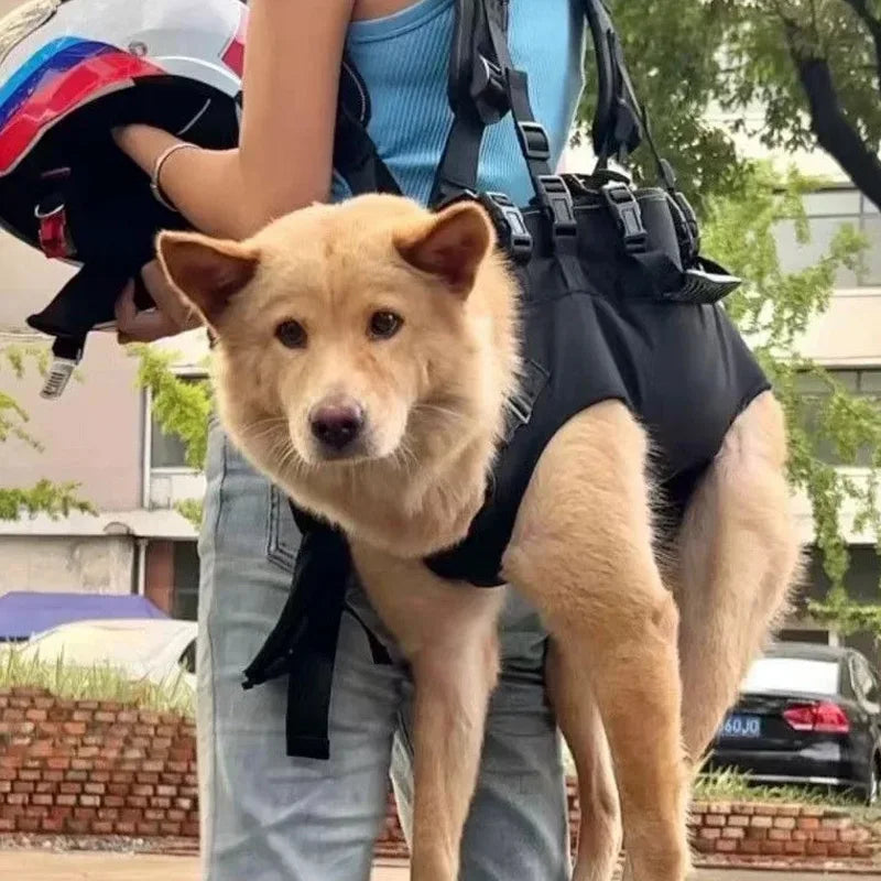 Sac de transport ventral pour chien – Confort et sécurité en déplacement