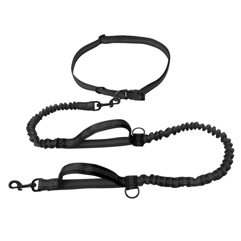 Laisse mains libres pour chien – Ceinture de course élastique et absorbant les chocs