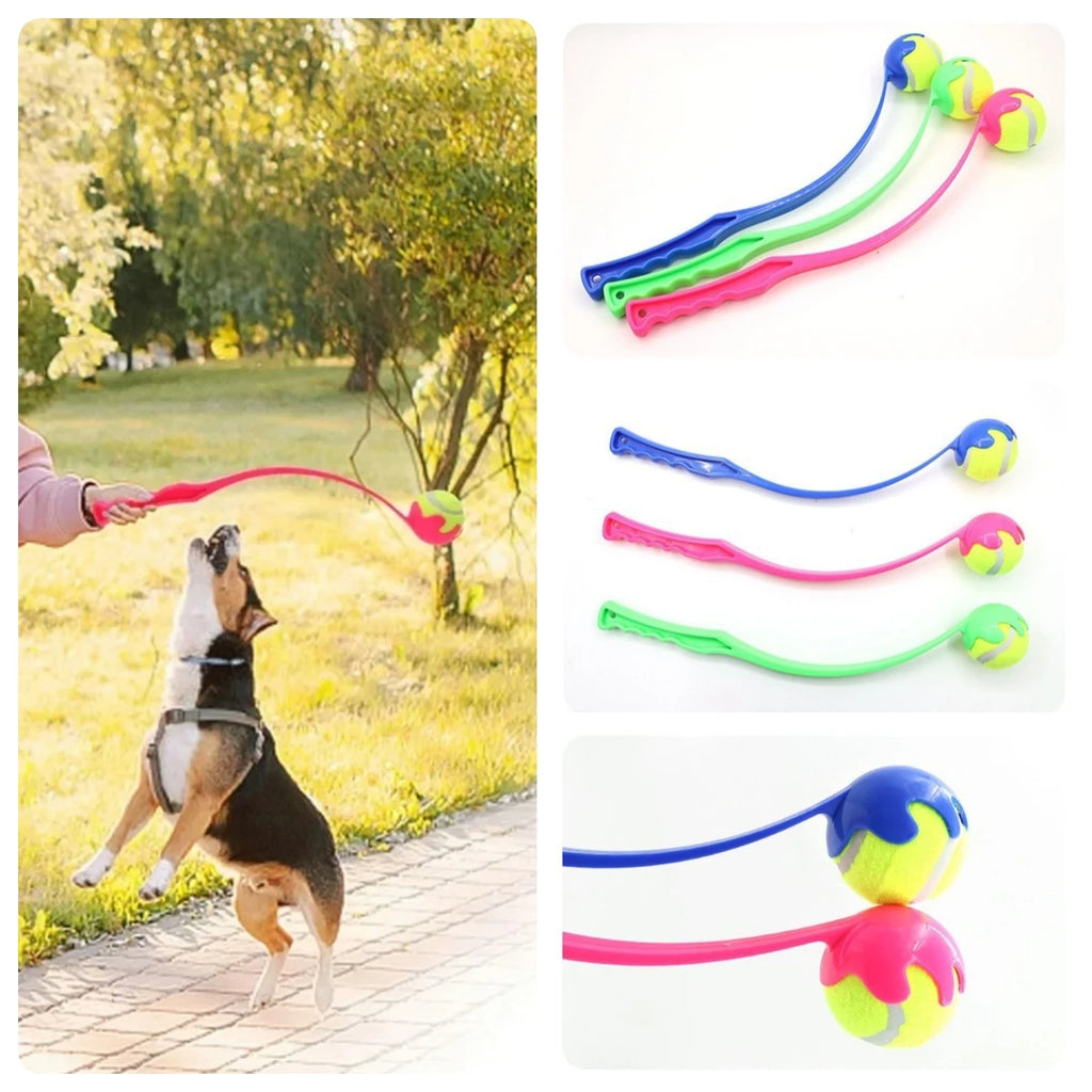 Lance-balle interactif pour chien – Jouet d’entraînement et de lancer