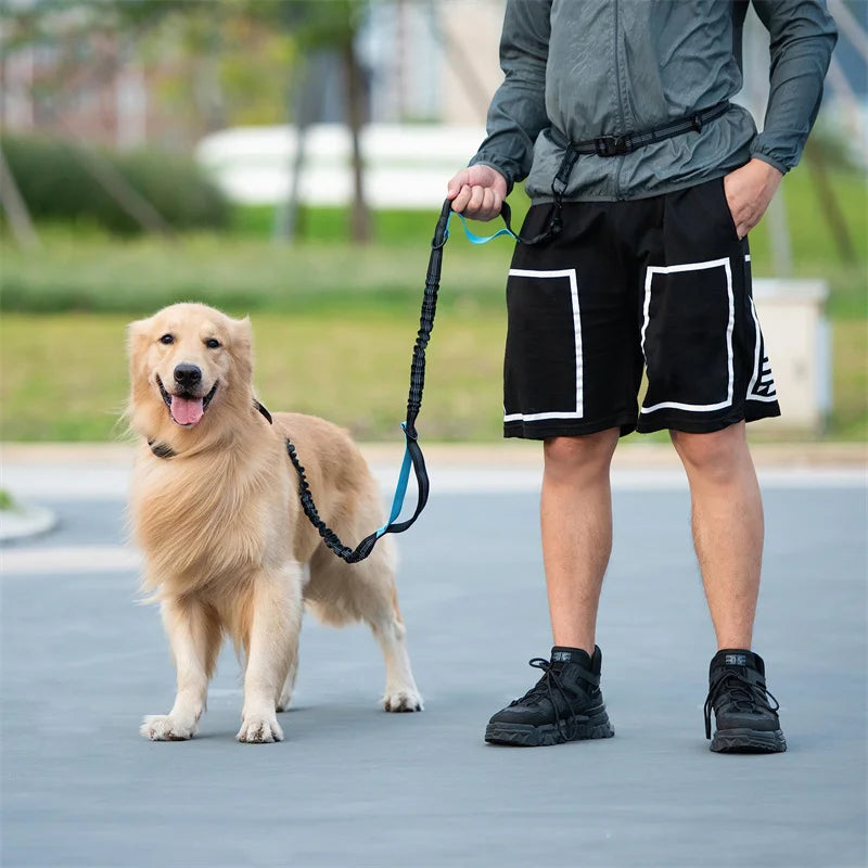 Laisse mains libres pour chien – Ceinture de course élastique et absorbant les chocs