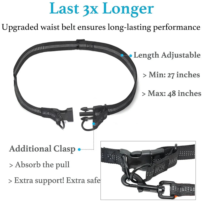 Laisse mains libres pour chien – Ceinture de course élastique et absorbant les chocs