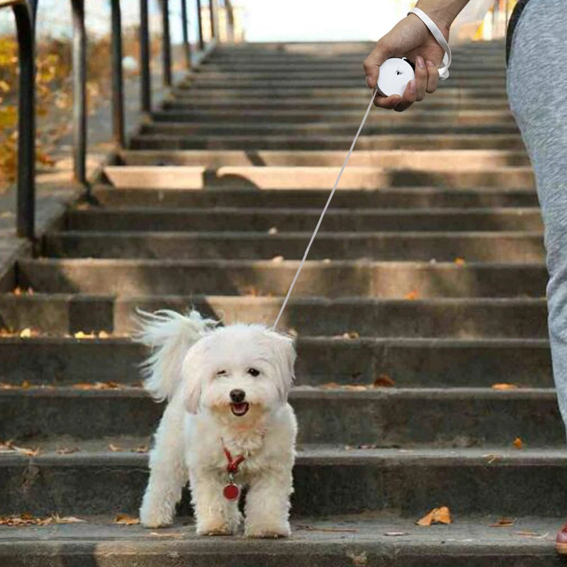 Laisse Rétractable Automatique 2M pour Chien