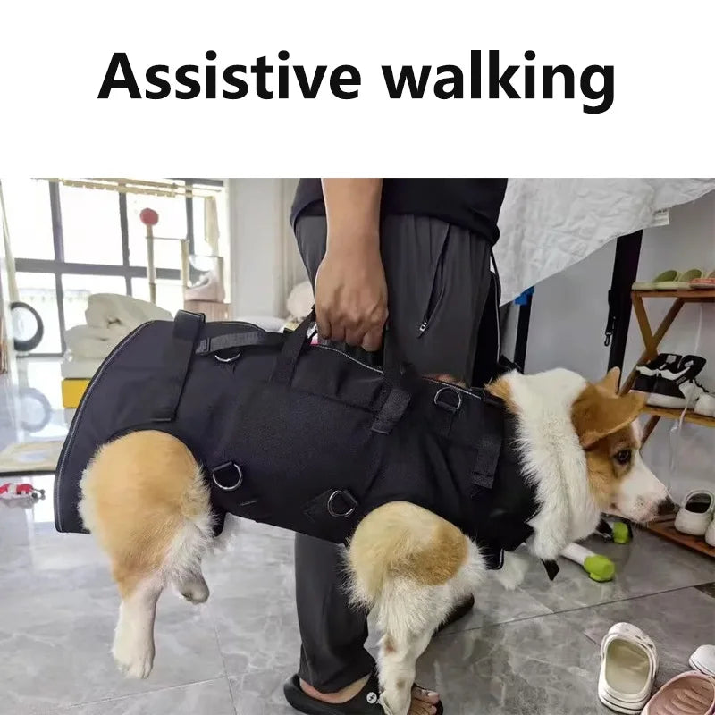 Sac de transport ventral pour chien – Confort et sécurité en déplacement