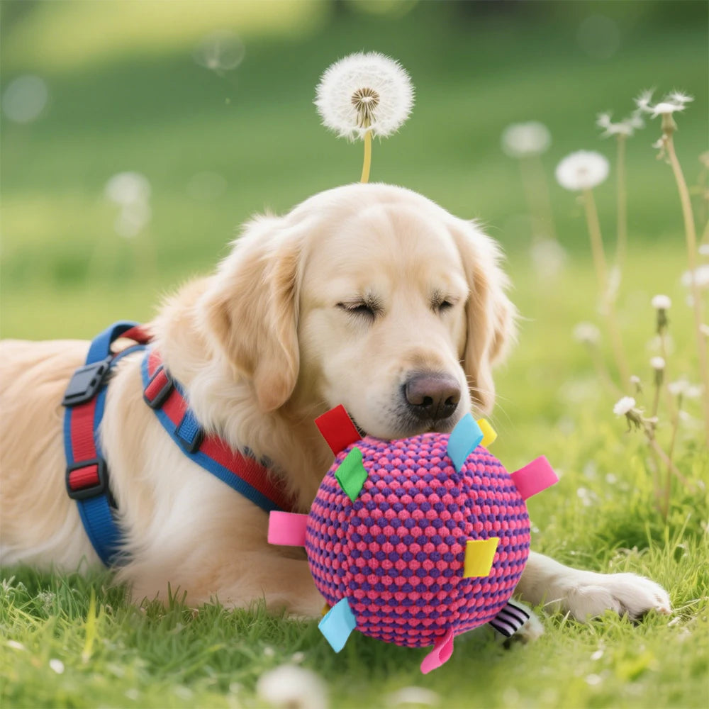Balle Interactive pour Chien – Jouet à Mâcher Résistant pour l’Entraînement et la Réduction du Stress