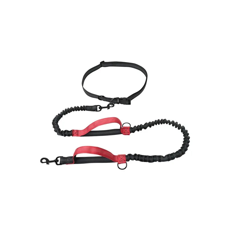 Laisse mains libres pour chien – Ceinture de course élastique et absorbant les chocs