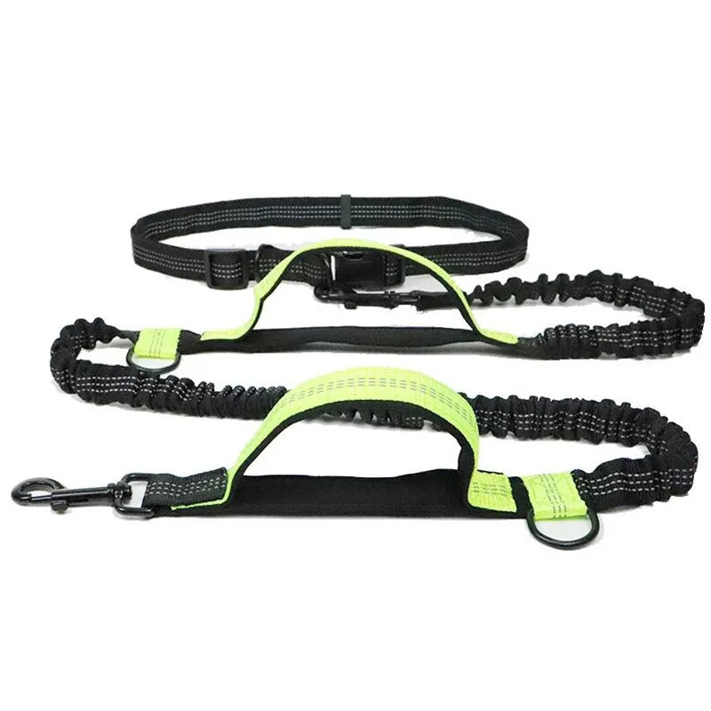 Laisse mains libres pour chien – Ceinture de course élastique et absorbant les chocs