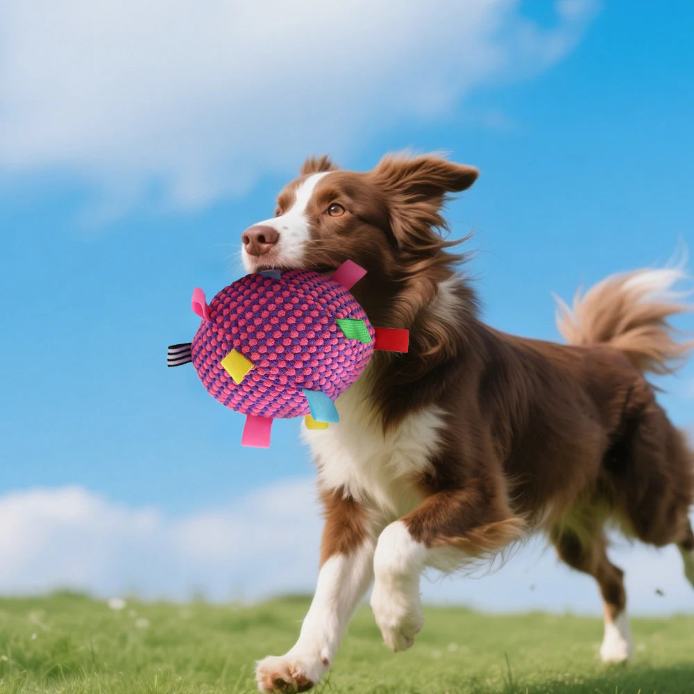 Balle Interactive pour Chien – Jouet à Mâcher Résistant pour l’Entraînement et la Réduction du Stress