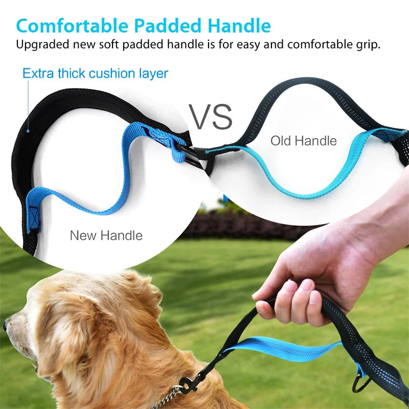 Laisse mains libres pour chien – Ceinture de course élastique et absorbant les chocs