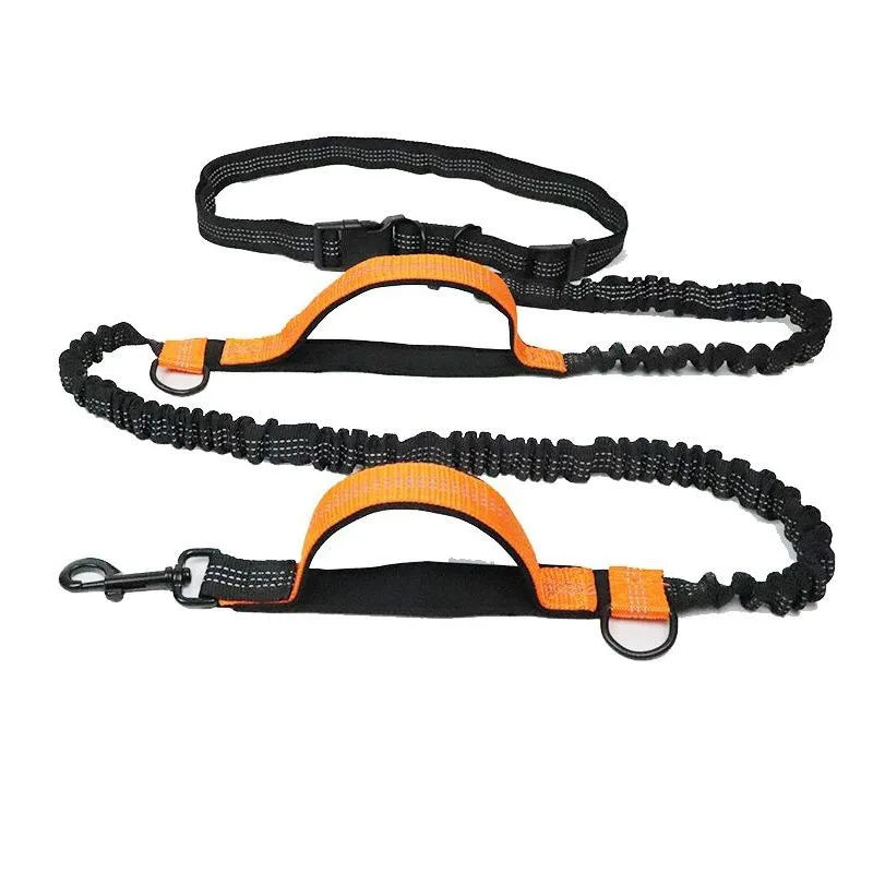 Laisse mains libres pour chien – Ceinture de course élastique et absorbant les chocs