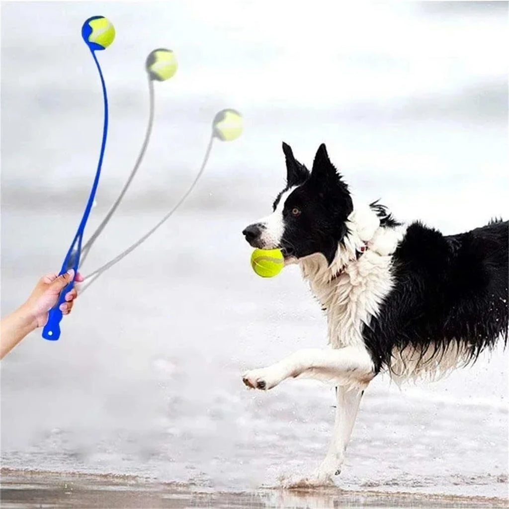 Lance-balle interactif pour chien – Jouet d’entraînement et de lancer