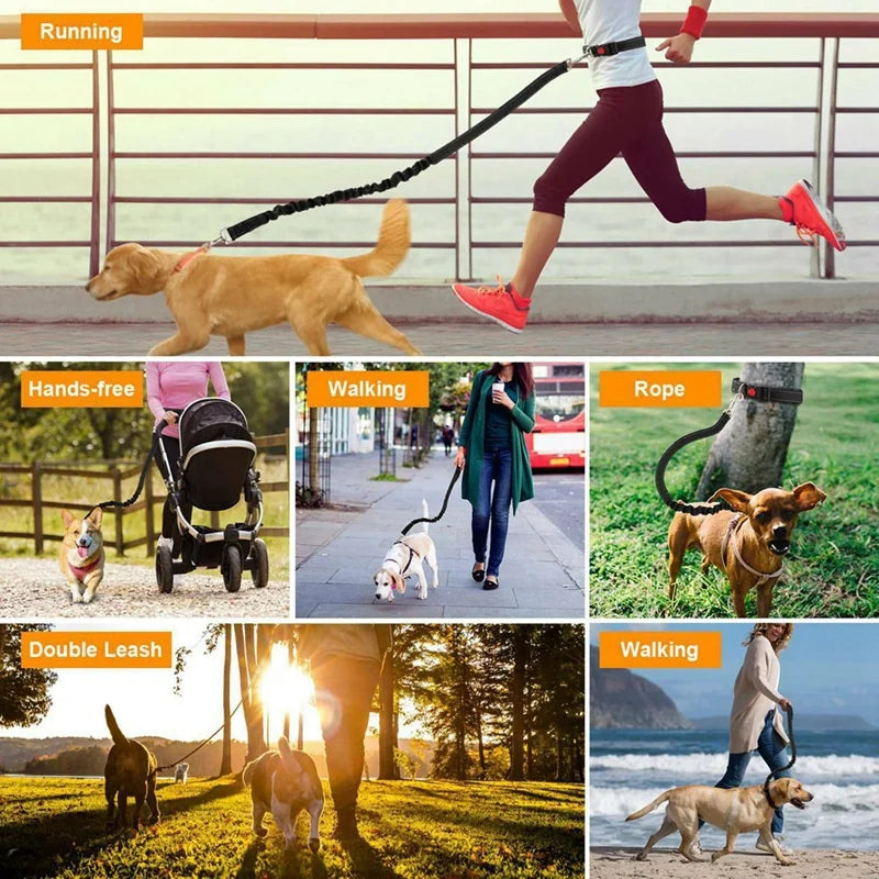 Laisse mains libres pour chien – Ceinture de course élastique et absorbant les chocs