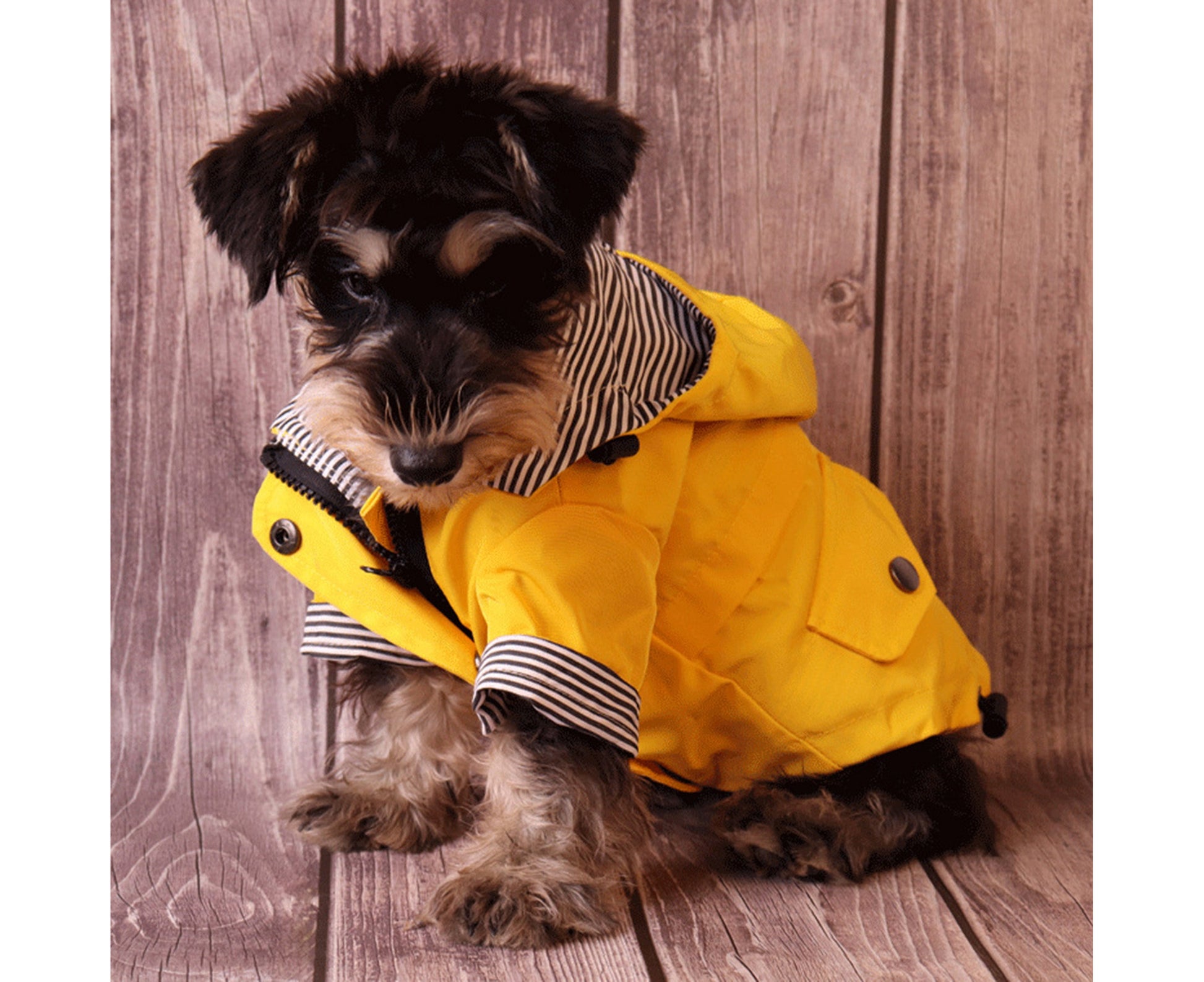 Centaurus Pet Rain Jacket Striped inside Rainproof Skin-Friendly Fashion Pet Dogs Hooded Raincoat for Small Medium Large Dogs-Yellow